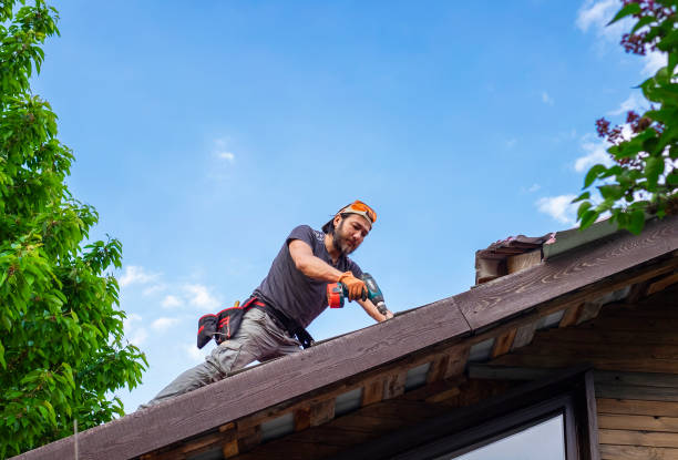 Best Metal Roofing Installation  in Lynn Haven, FL